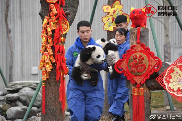 華為營收達460億美元 或蟬聯全球通信設備商榜首