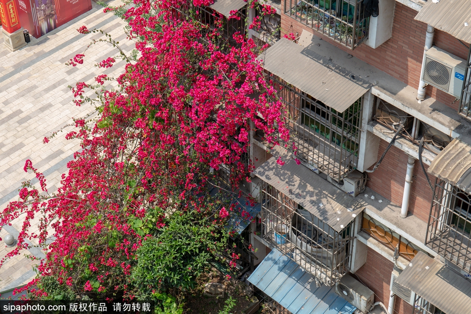韓國女主播挑戰不穿內衣被謾罵，女性不穿bra不行嗎？