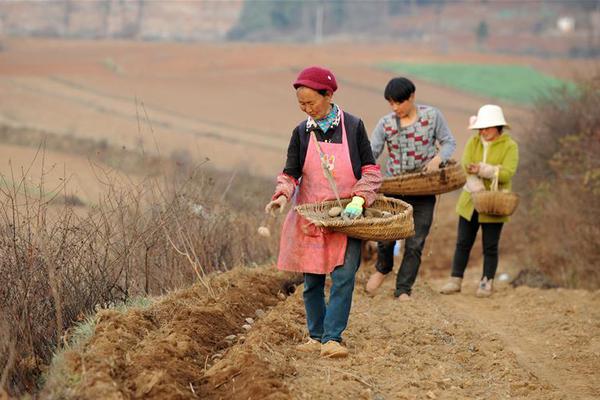 這些“奇葩”職業(yè)年入幾十萬，打工人快來了解下