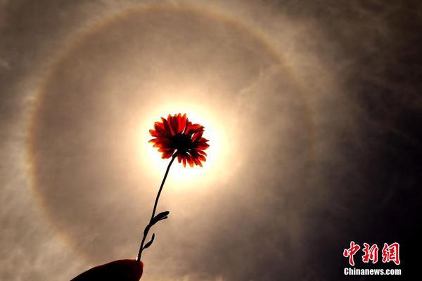 往死虐！盤點玩命為角色減肥增重的十大外國男星