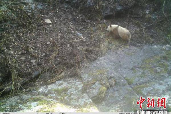 父母口中幾百萬的財產全沒了，難以接受，忽然沒有了攢錢的動力