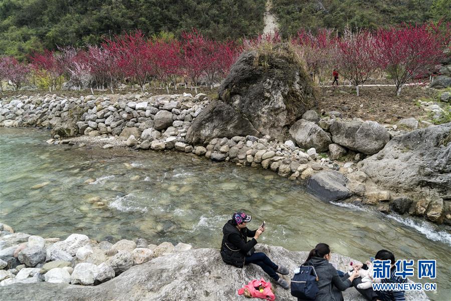 檔案電子化掀起綠色變革 遠光軟件推出“智慧型”檔案管理解決方案