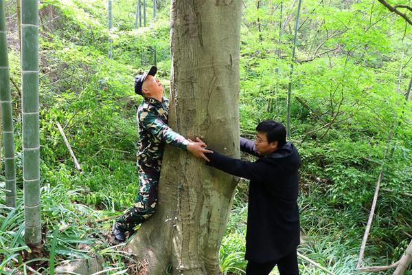 15年間，大叔省吃儉用收集稀有電子寵物，上節(jié)目被專家鑒定出了高價(jià)