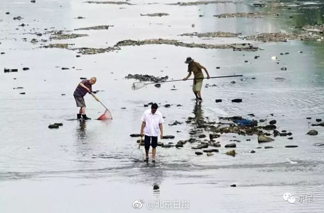 微博上99.999%的用戶沒有在底層生活過