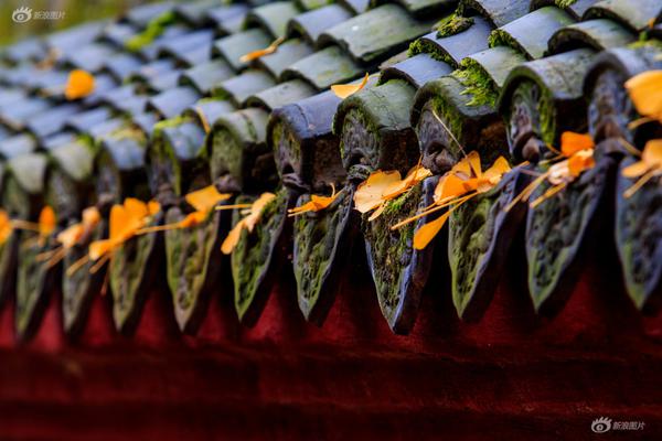 探訪青豫特高壓通道換流站：三維管控平臺助力工程建設
