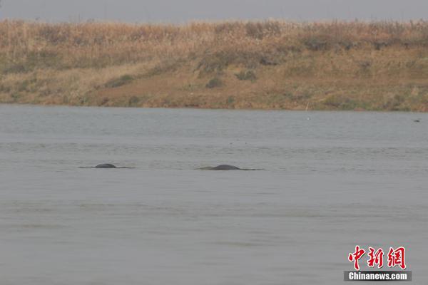 [博海拾貝1205]副駕是我的專屬座位！