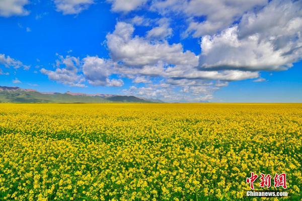 商務部：7月31日至8月6日煤炭價格小幅波動