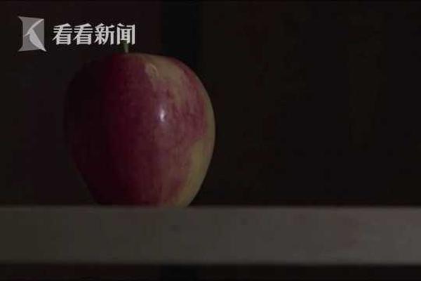 南方（以廣東起步）電力現貨市場2023年9月結算運行有關安排