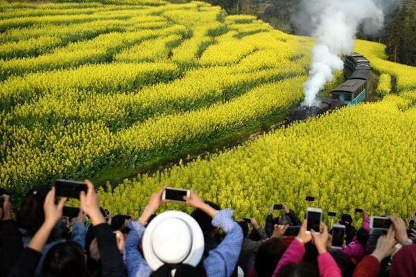 山東省累計招收博士后1.3萬余人 在站博士后數量突破5600人