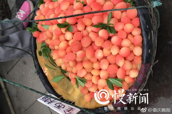 《河南省加快工業互聯網創新發展專項行動方案（2023—2025年）》印發