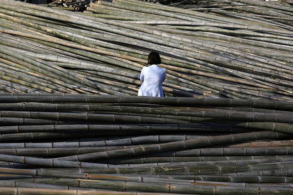 流量略低于前期，黃河山東段大流量過程還將持續(xù)15天左右
