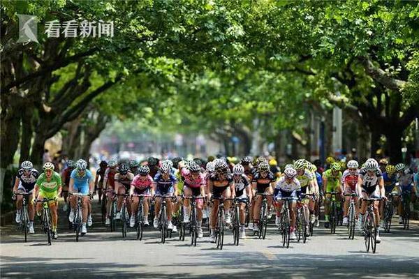 光伏產業供應鏈價格報告（2023.10.18~10.23）