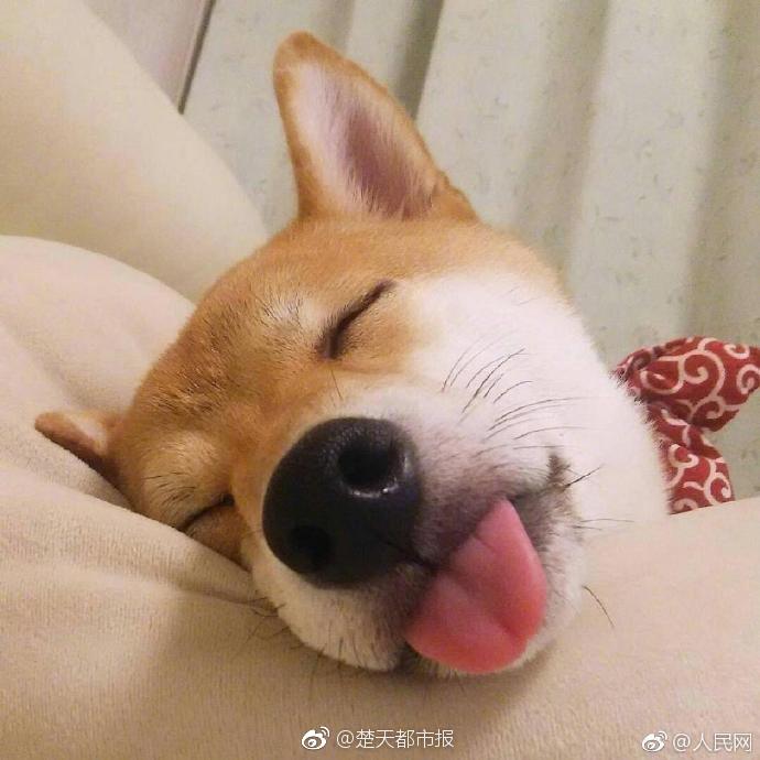 雄安新區(qū)出臺(tái)國(guó)內(nèi)首個(gè)市級(jí)電力項(xiàng)目核準(zhǔn)備案管理辦法