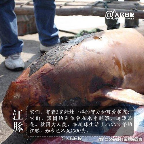超級(jí)富豪們的家庭出身