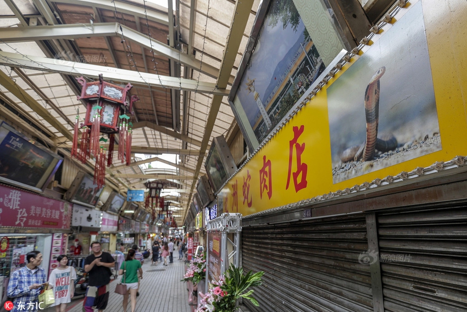 同筑生態文明之基 同走綠色發展之路