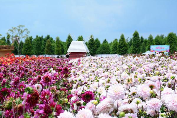 國(guó)網(wǎng)信通股份中電啟明星堅(jiān)守冬奧保電一線(xiàn)