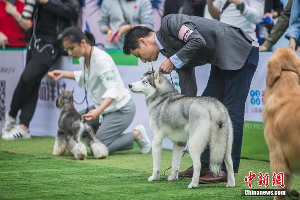 濟(jì)南長途汽車總站今起售賣春運(yùn)客票