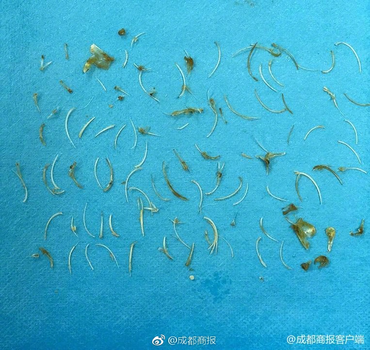 濟南小伙養"錦鯉"年收入過千萬元，一條魚曾賣出58萬元高價