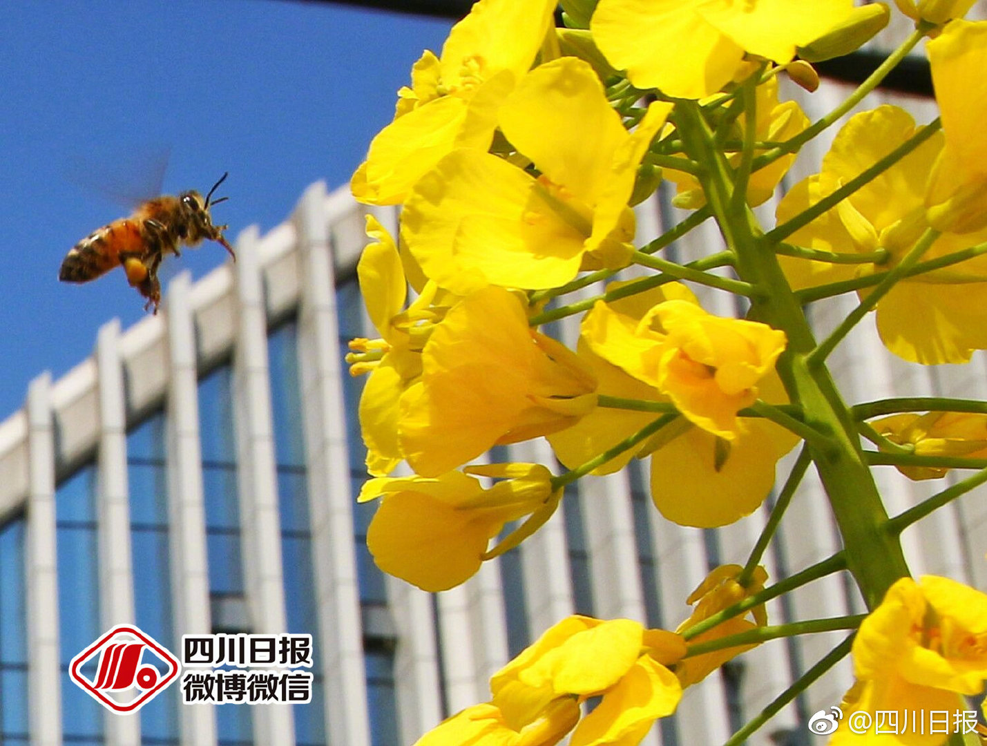 數字賦能讓建筑工地&ldquo;耳聰目明&rdquo; 濟南5個三星級智慧工地施工企業