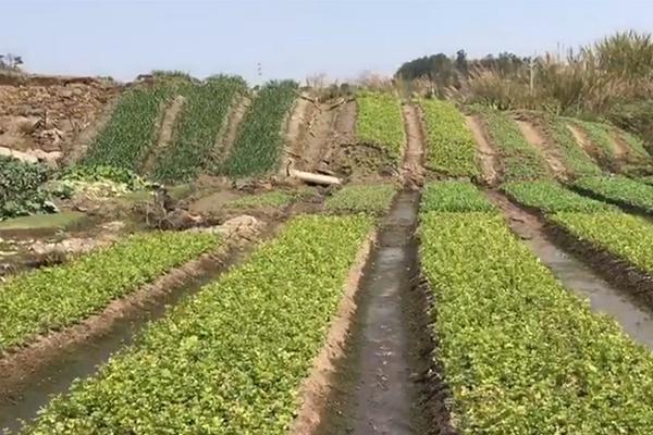 北京有3000來?xiàng)潈凑?，只有她住進(jìn)去后出事了