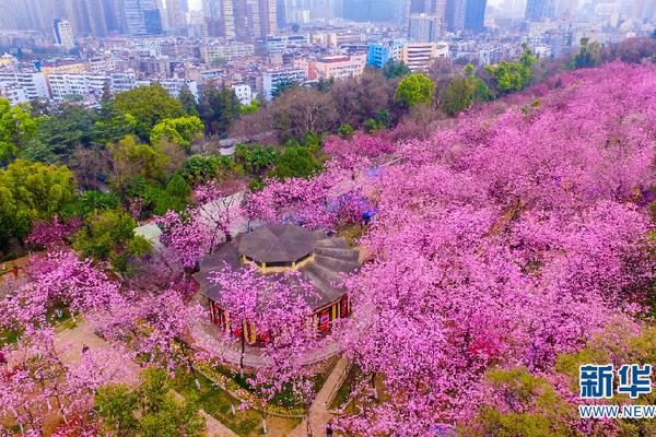 濟(jì)南市區(qū)首宗集體經(jīng)營(yíng)性建設(shè)用地成功入市 位于歷城區(qū)蘆南村