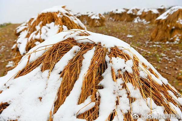 截至2022年12月底云煤集團累計實現煤炭供應總量1810.33萬噸