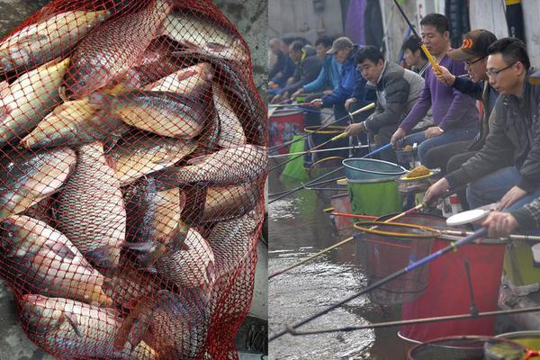 制氫路線綠化需求凸顯