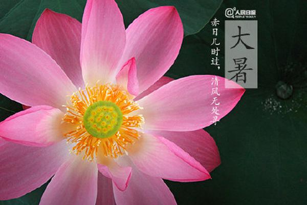 甘肅新能源消納水平巨幅提升 上半年新能源利用率94.41%
