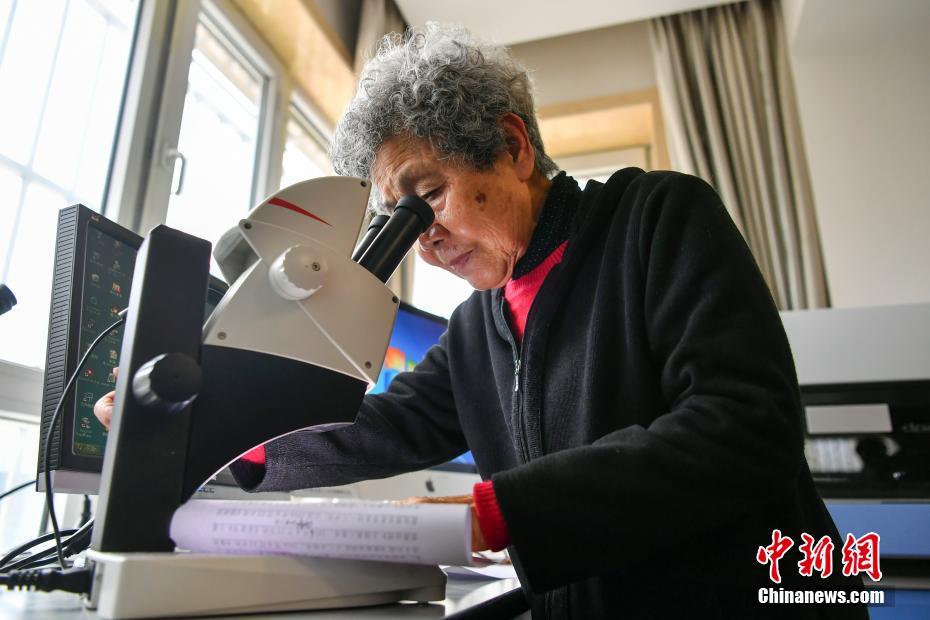 關注｜從電力行政許可到綜合能源特許經營的設想