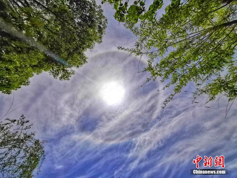 包鋼、億利集團(tuán)、西部天然氣聯(lián)手 構(gòu)建光氫外輸冶煉一體化項(xiàng)目