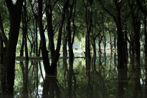 共青團濟南市委發(fā)布&ldquo;我為青年辦實事&rdquo;十項行動