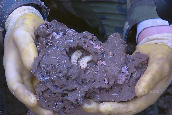 3大亮點! 泉水節花車巡游路線公布 , 明天起將開啟"美麗邂逅"