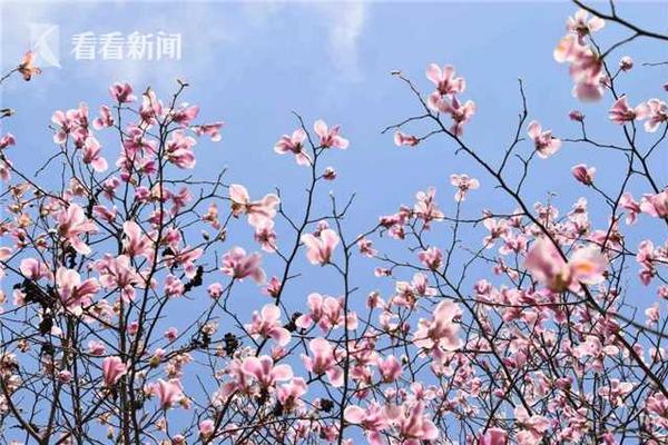 那些被淘汰的商家和買家，在拼多多里碰了頭