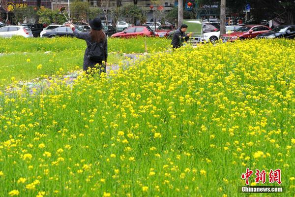 依托智慧共享財務管理體系 國網安徽電力打造RPA應用典型示范