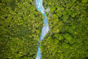 上海：積極探索氫燃料電池的多場景 多領域商業性示范應用