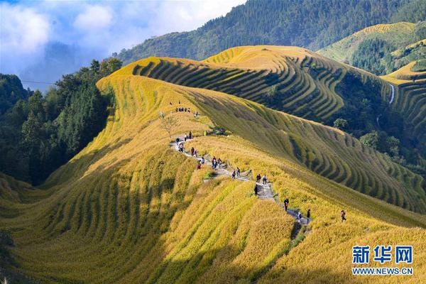 寧夏煤炭遠景儲量達2000億噸