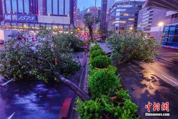 湛江麻章晨鳴漿紙有限公司“5·18”較大中毒和窒息事故調查報告