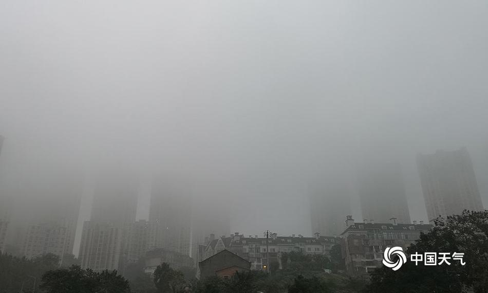 相約大潤發，汰漬與海清邀您新年把愛帶回家
