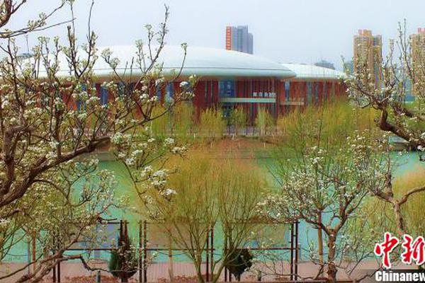 南方（以廣東起步）電力現貨市場2022年1月現貨結算試運行日報（01.04-05）