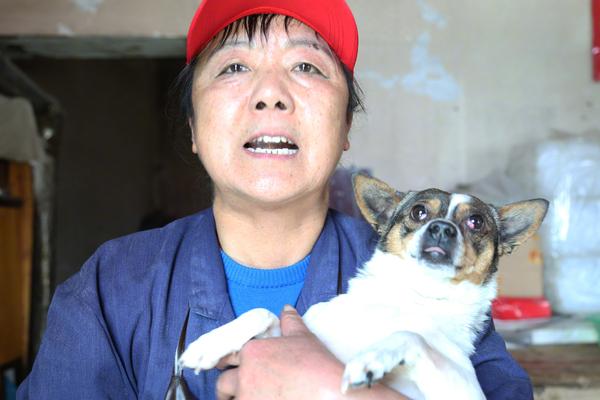 潘石屹擦干了臉上的口水