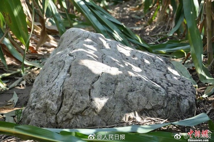 凍結(jié)賬戶！國(guó)家北京電力供應(yīng)商不良行為處理情況的通報(bào)（2022年11月）
