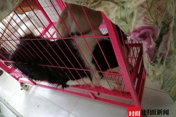 廣西電力市場首次開展?jié)L動撮合交易