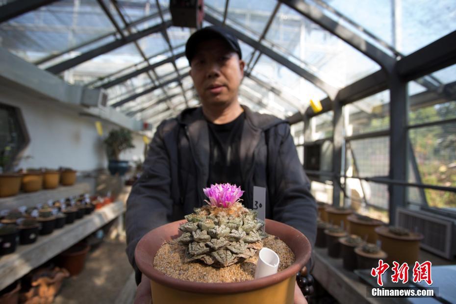 感覺虛擬攝影會很快成為一個重要的流派