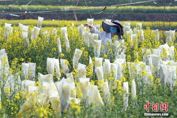 國網河南2021年第二次配網物資協議庫存招標中標候選人