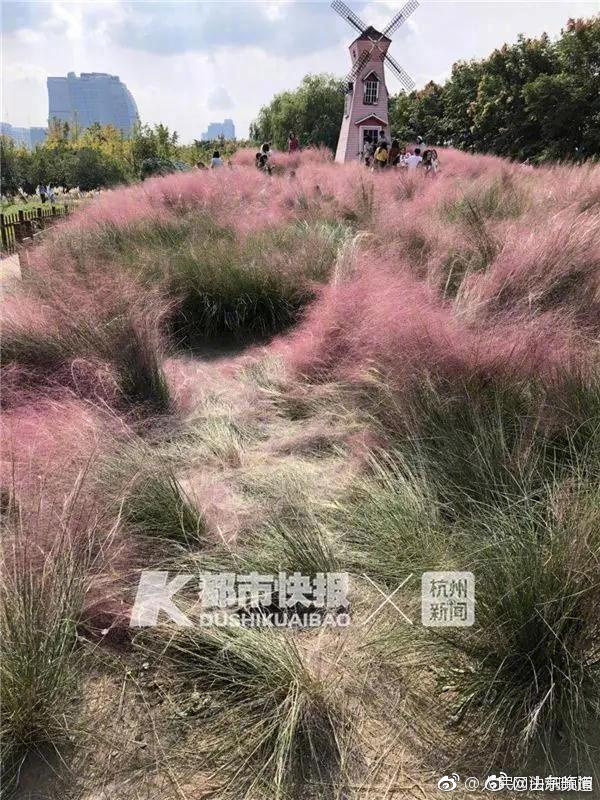 習近平向第二屆全球數字貿易博覽會致賀信