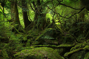 物聯網感知層優勢助力智能電網建設