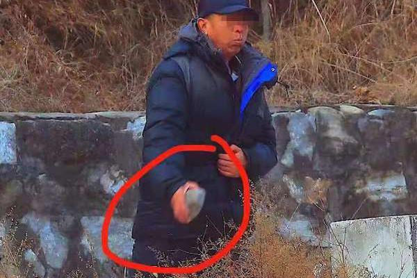 華為理念的延續：平臺與生態雙輪驅動數字化轉型