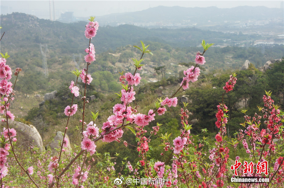 總投資32億元！河南安陽(yáng)氫能全產(chǎn)業(yè)鏈智慧生態(tài)項(xiàng)目正式簽約